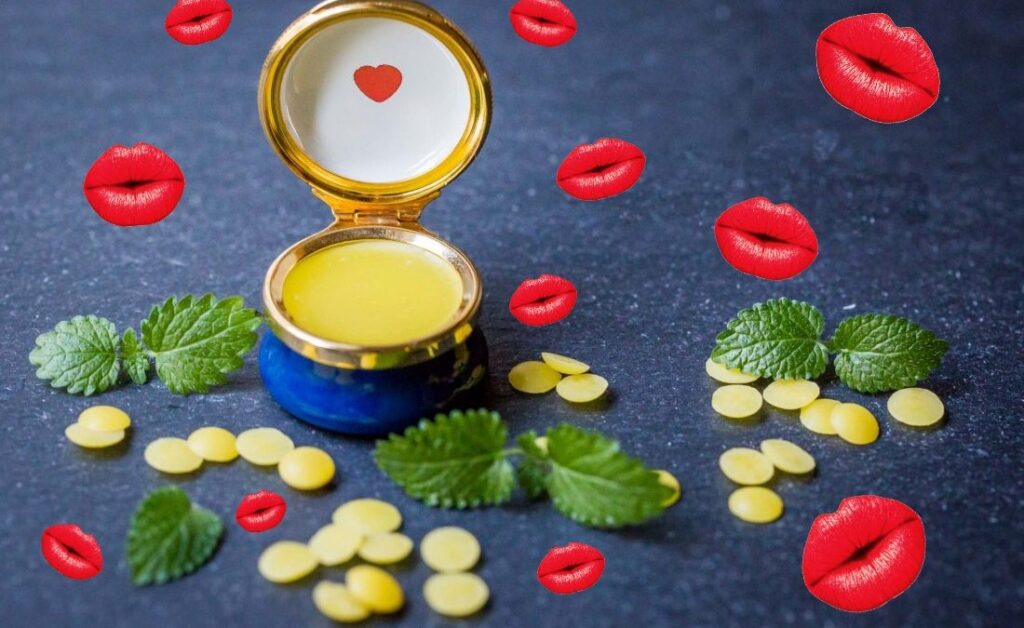Tag des Kusses Bio Lippenbalsam mit Olivenoel