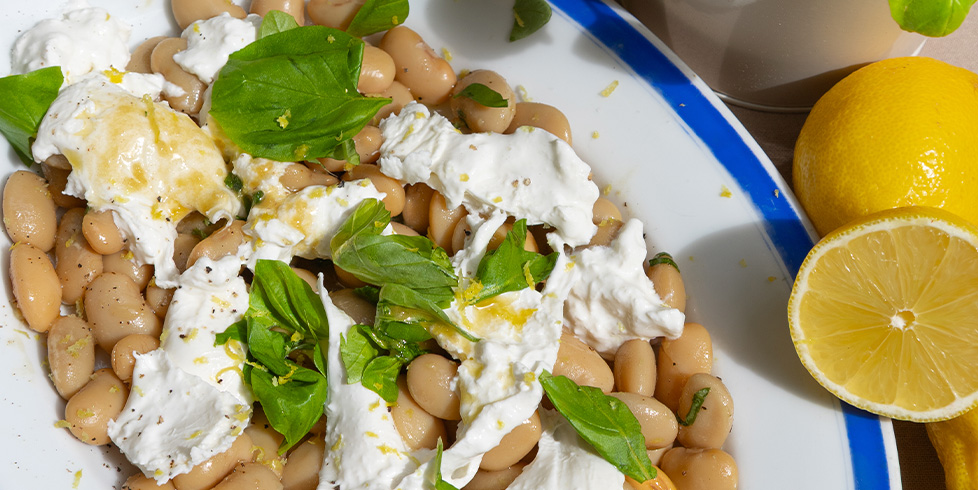 NOAN Lemon Basilikum Dressing Salatrezept